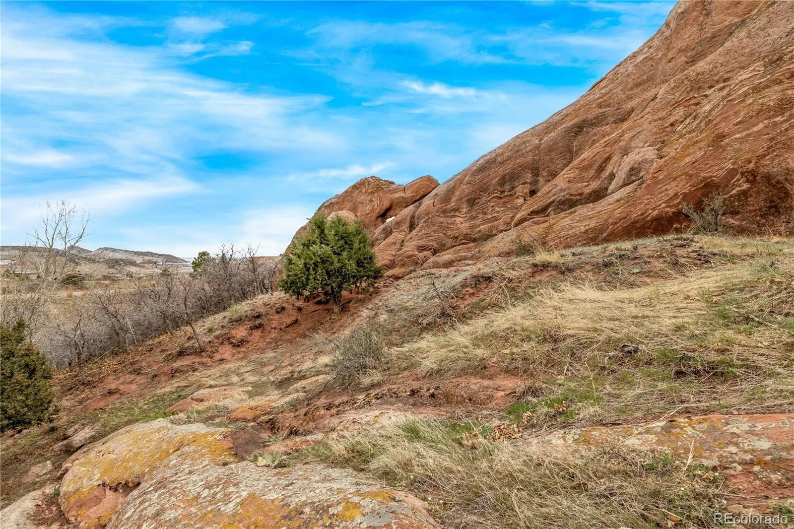 7708 Hawks Nest Trail Littleton CO 80125 MLS #REC8776865 05162026160453 1600 6
