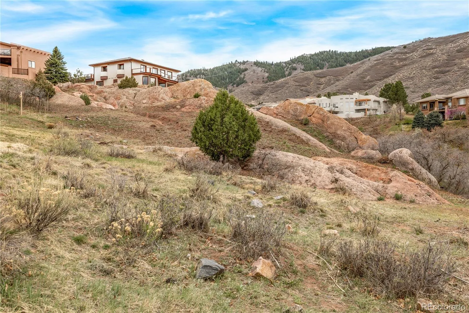 7708 Hawks Nest Trail Littleton CO 80125 MLS #REC8776865 05162026160453 1600 8