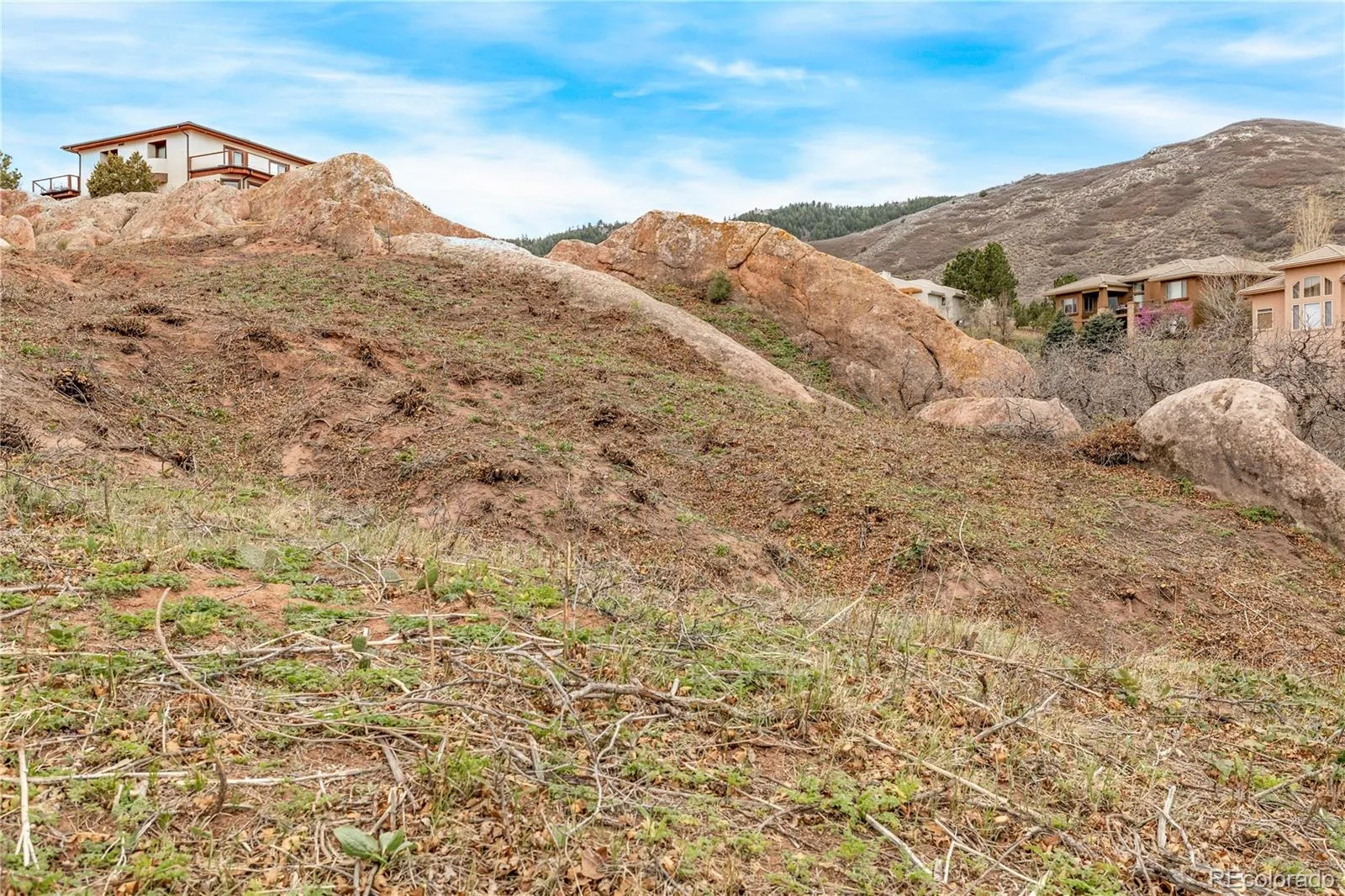 7708 Hawks Nest Trail Littleton CO 80125 MLS #REC8776865 05162026160453 1600 9