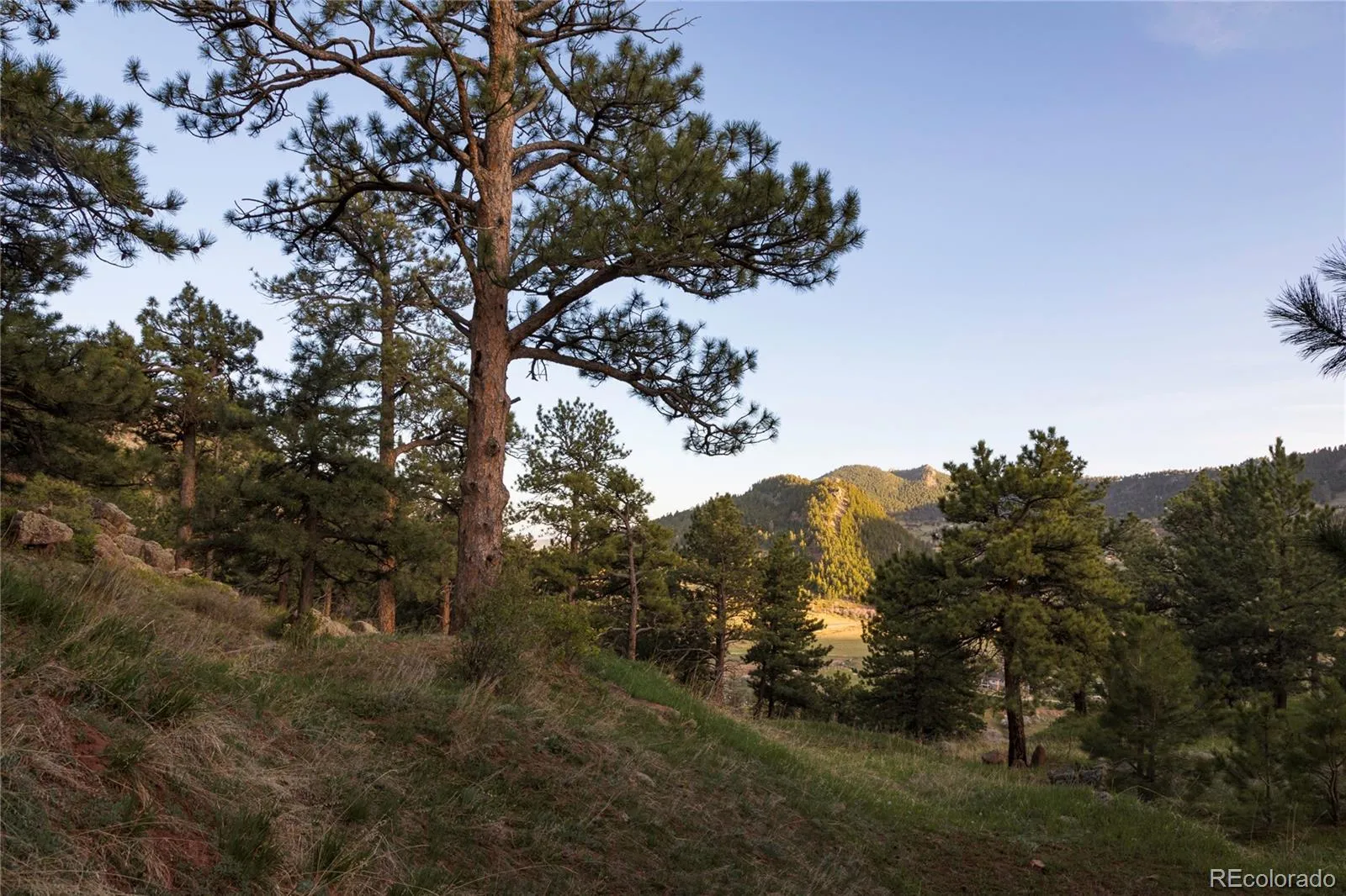 64 Canyon Pines Drive Arvada CO 80403 | MLS #REC8781455 05182026192743 1600 18