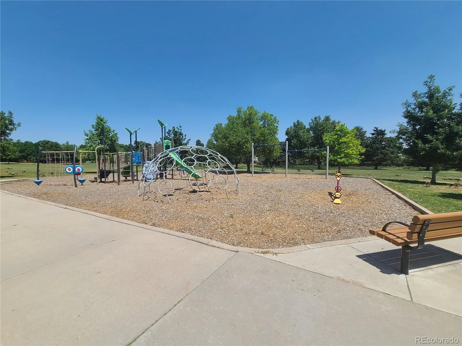 1477 S Brentwood Street Lakewood CO 80232 | MLS #REC8784669 08222026165715 1600 33