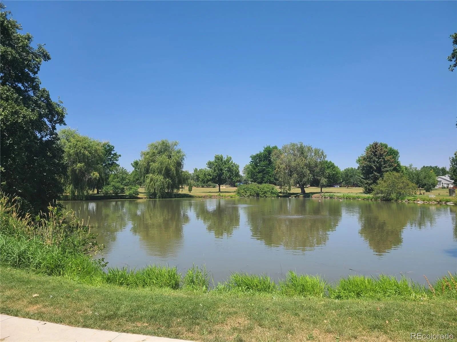 1477 S Brentwood Street Lakewood CO 80232 | MLS #REC8784669 08222026165715 1600 34
