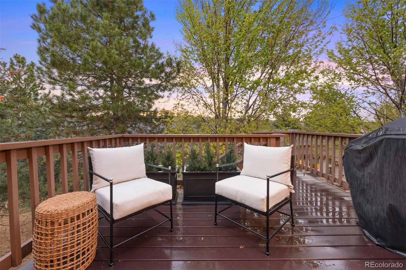1037 Snow Lily Court Castle Pines CO 80108 MLS #REC8790389 05012026143629 1600 7