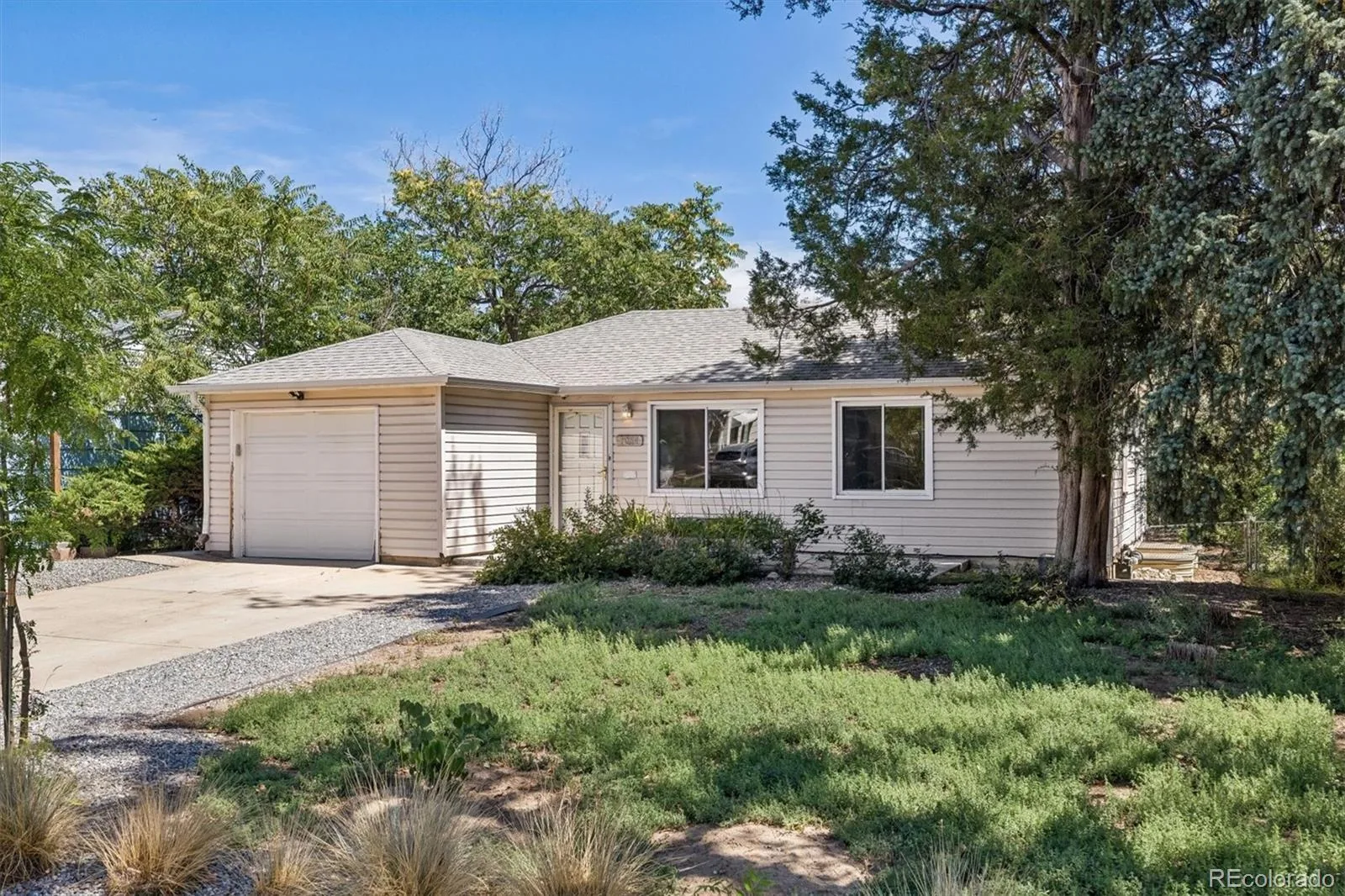 1064 Galena Street Aurora CO 80010 | MLS #REC8790915 08252026192736 1600 1