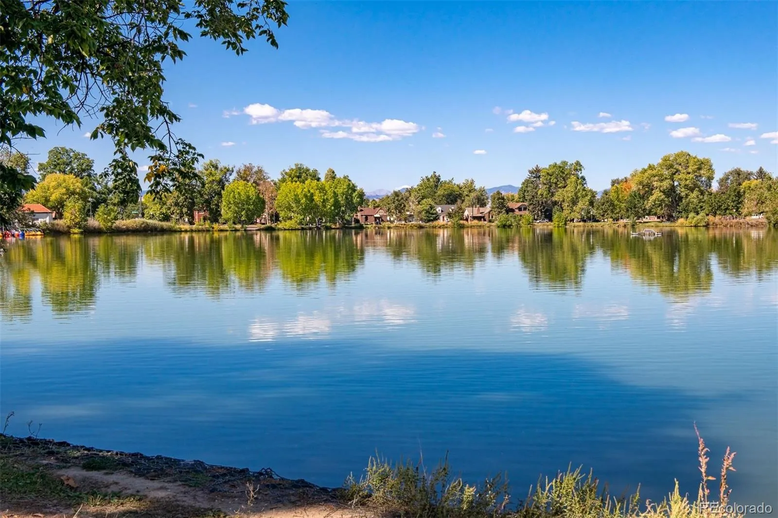 764 S Ogden Street Denver CO 80209 MLS #REC8794161 05222026020437 1600 35