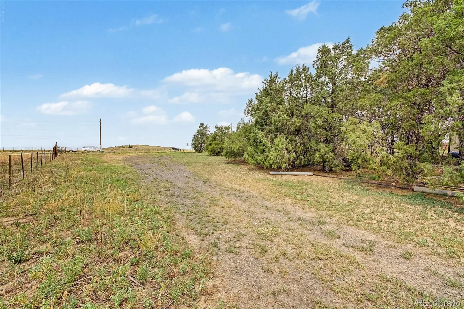 8473 Indiana Street Arvada CO 80007 | MLS #REC8797749 08072026125625 1600 17