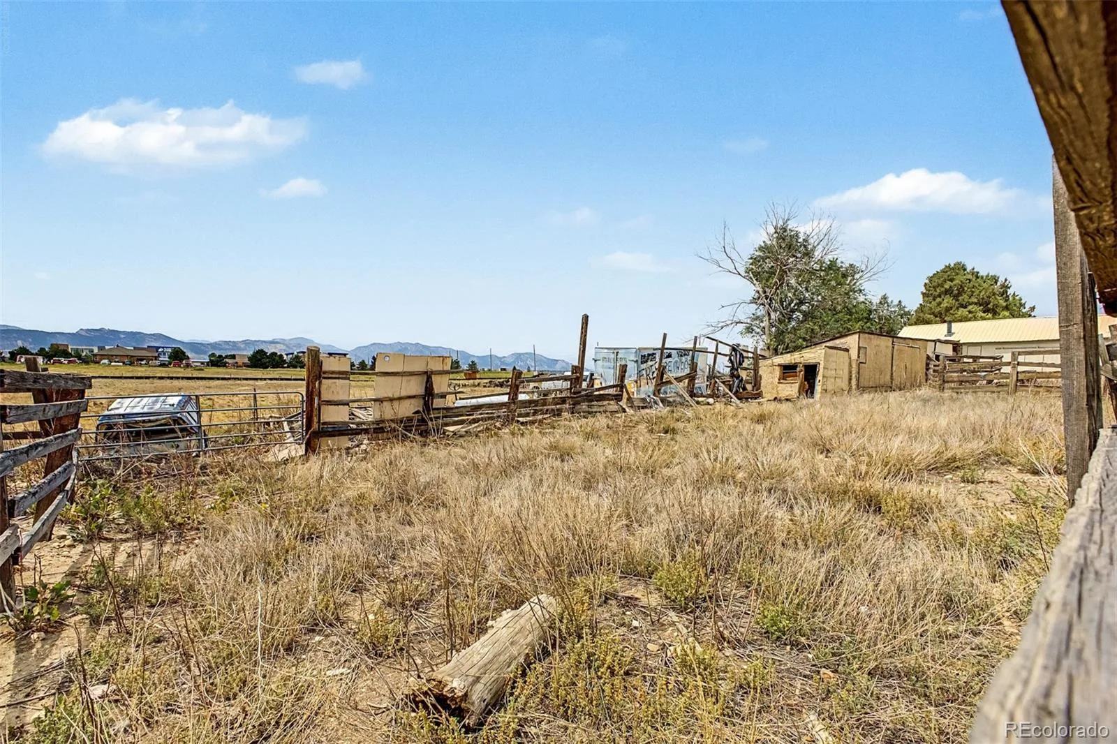 8473 Indiana Street Arvada CO 80007 | MLS #REC8797749 08072026125625 1600 19