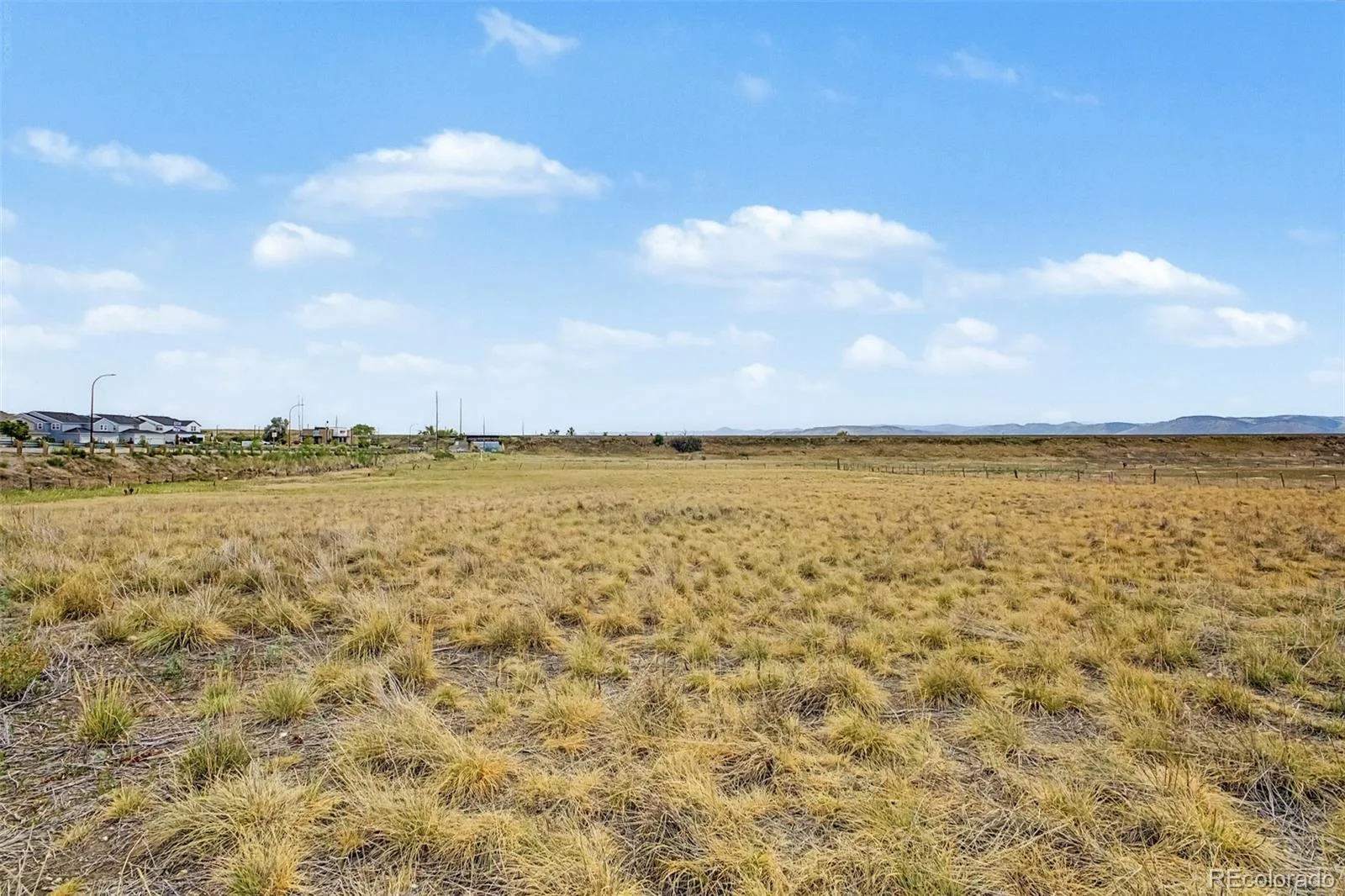 8473 Indiana Street Arvada CO 80007 | MLS #REC8797749 08072026125625 1600 21
