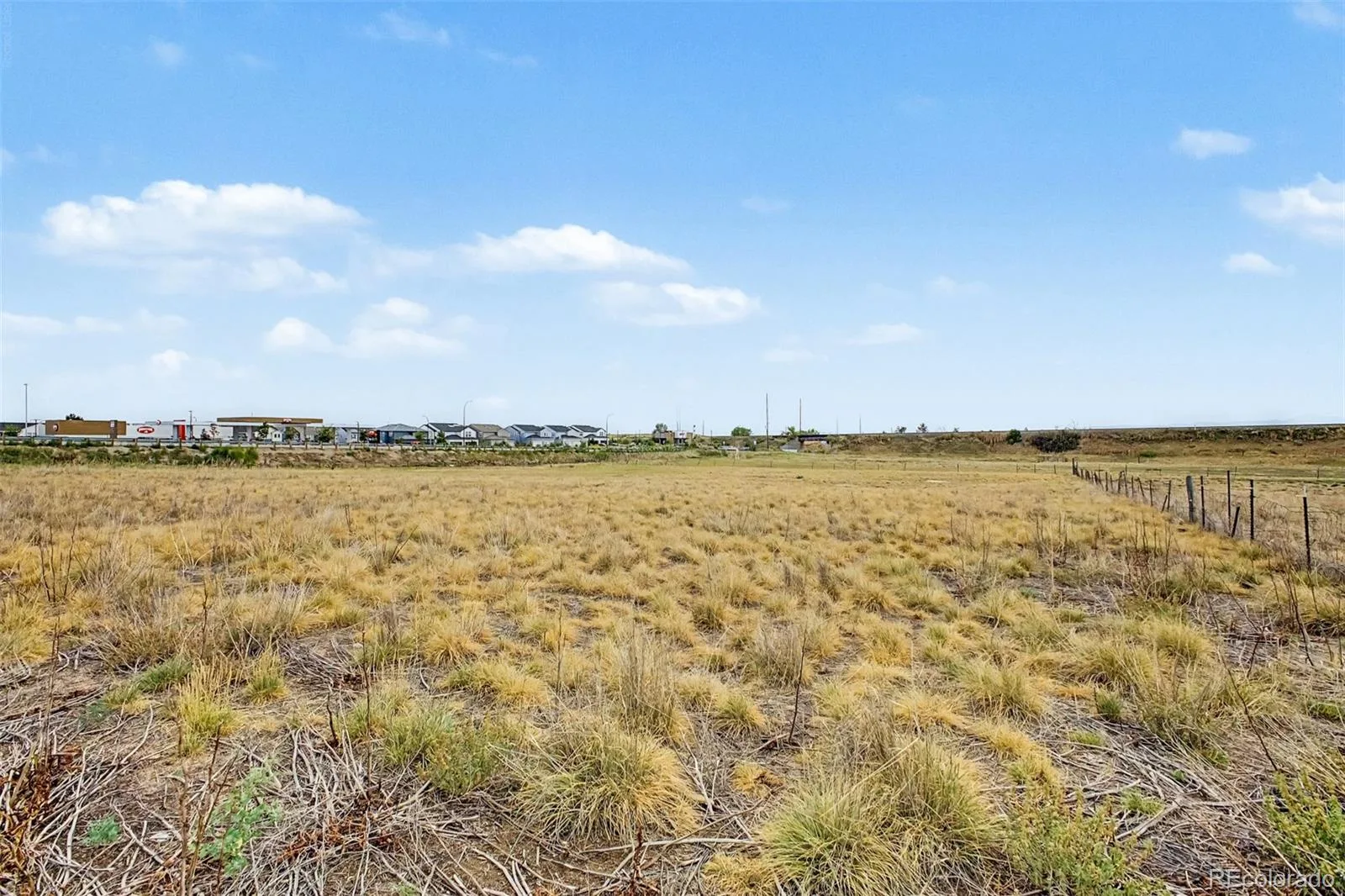 8473 Indiana Street Arvada CO 80007 | MLS #REC8797749 08072026125625 1600 22