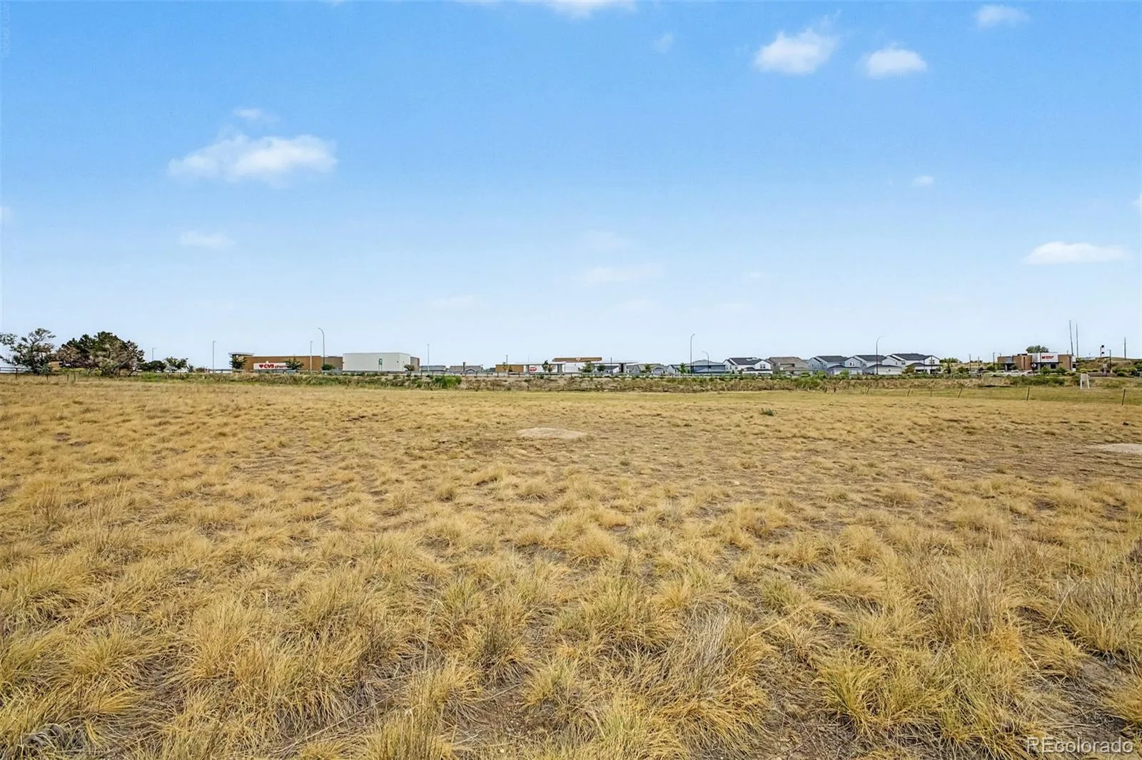 8473 Indiana Street Arvada CO 80007 | MLS #REC8797749 08072026125625 1600 23