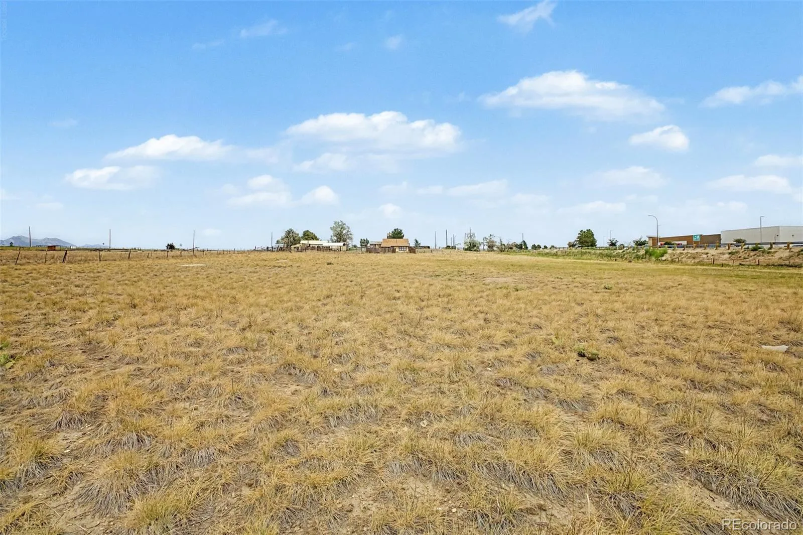 8473 Indiana Street Arvada CO 80007 | MLS #REC8797749 08072026125625 1600 25