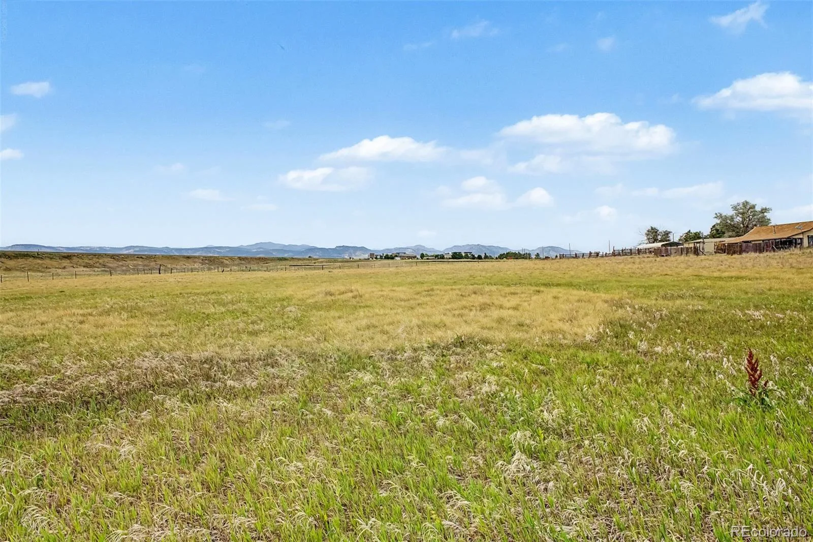 8473 Indiana Street Arvada CO 80007 | MLS #REC8797749 08072026125625 1600 27