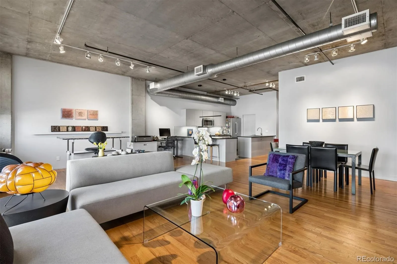290 W 12th Avenue #305 Denver CO 80204 MLS #REC8802494 07012026172313 1600 11