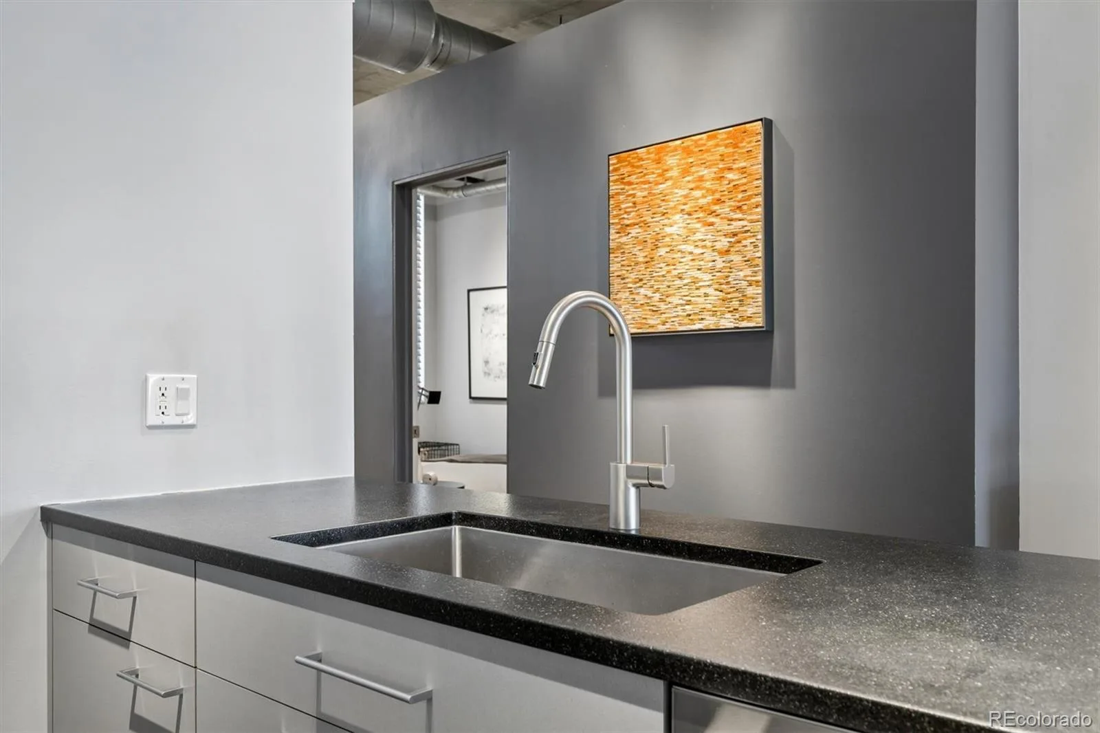 290 W 12th Avenue #305 Denver CO 80204 MLS #REC8802494 07012026172313 1600 12