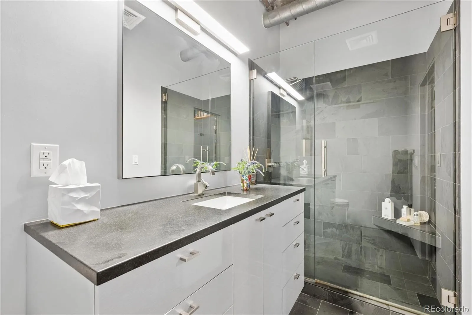 290 W 12th Avenue #305 Denver CO 80204 MLS #REC8802494 07012026172313 1600 17