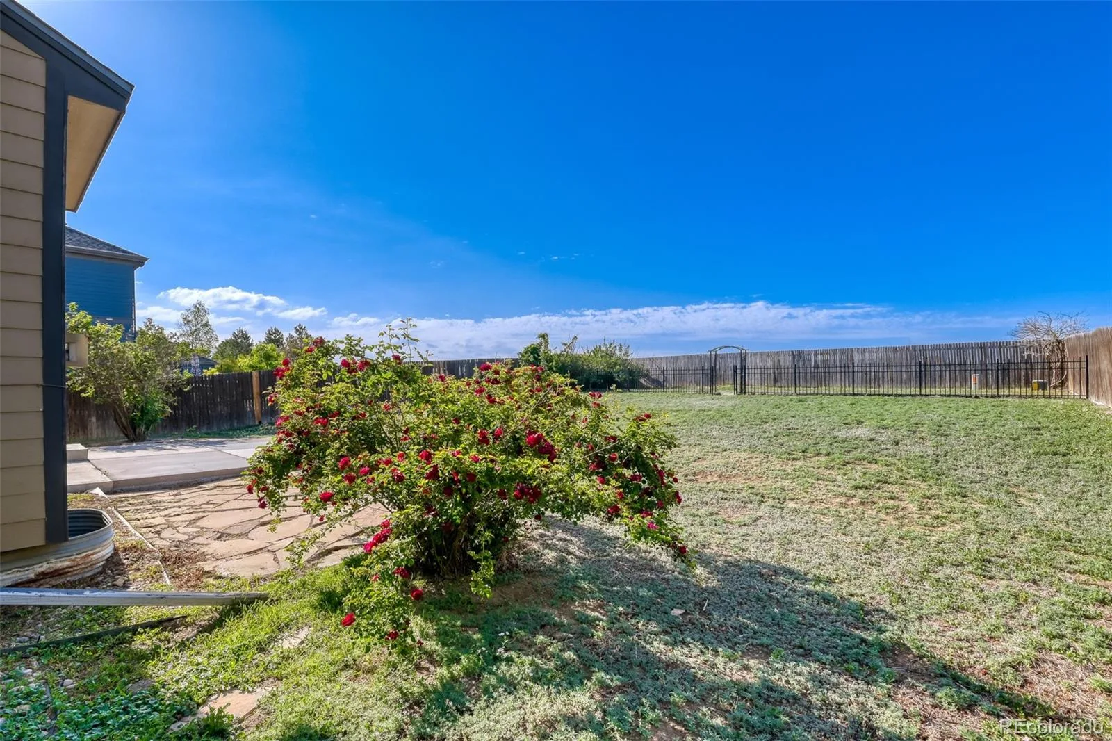 1922 E 164th Place Brighton CO 80602 | MLS #REC8807853 06032026223155 1600 28