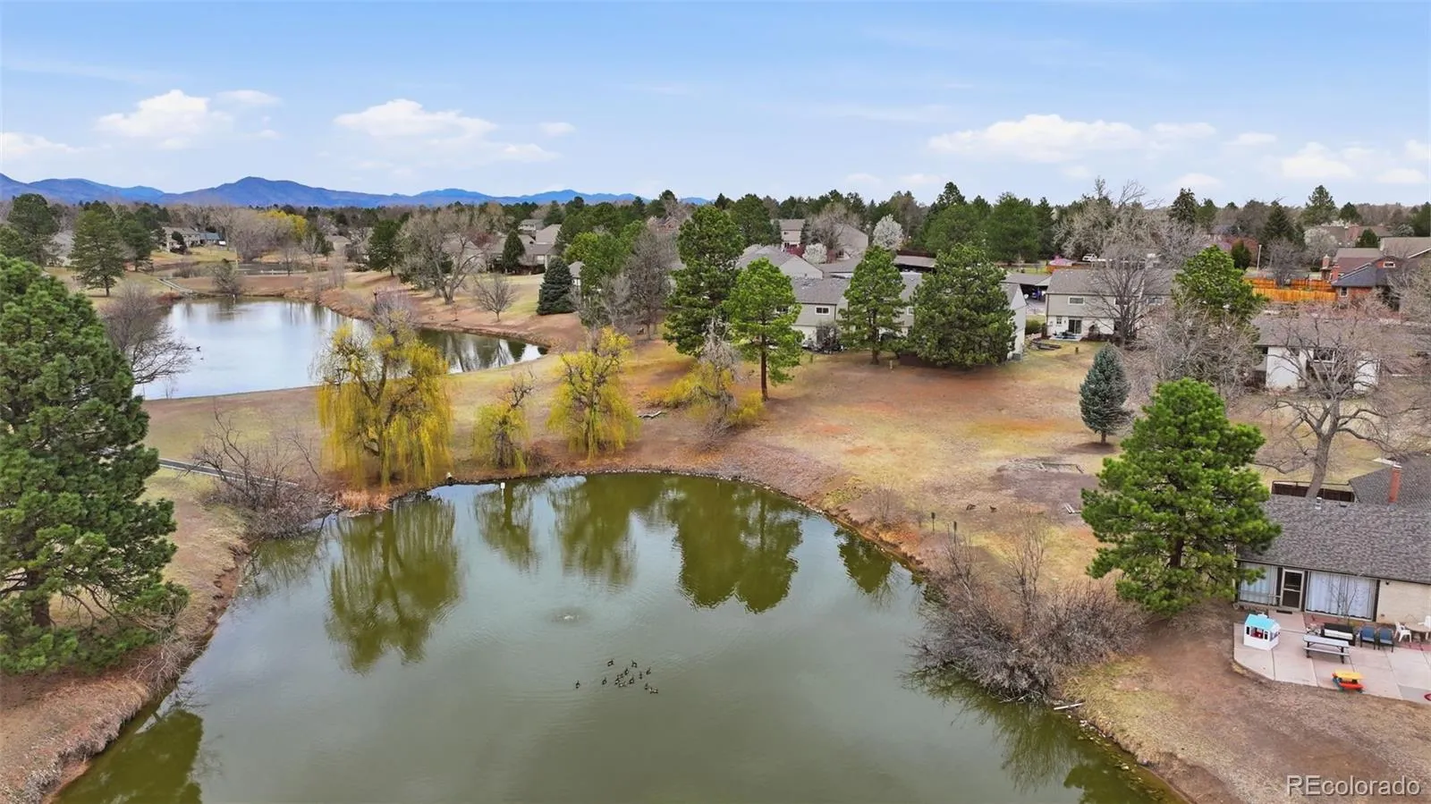 4234 W Pondview Drive Littleton CO 80123 | MLS #REC8808517 05262026211854 1600 29