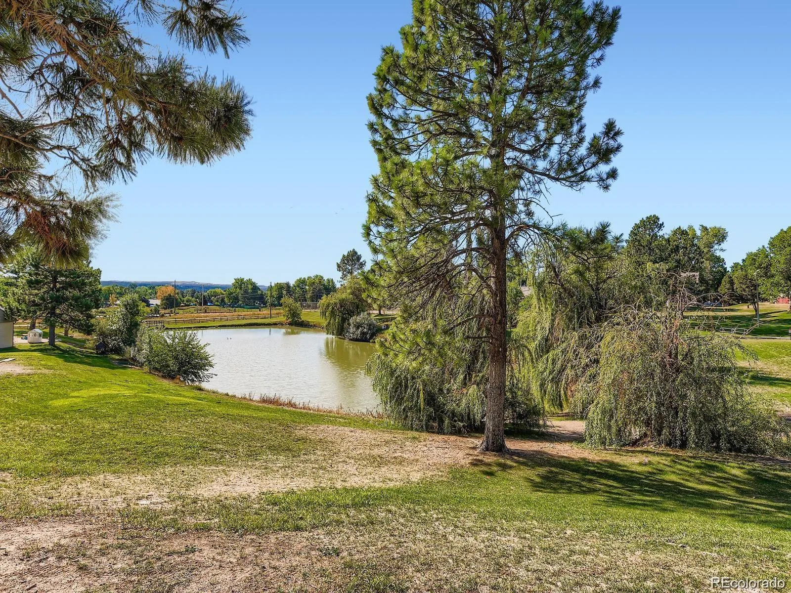 4234 W Pondview Drive Littleton CO 80123 | MLS #REC8808517 05262026211854 1600 30