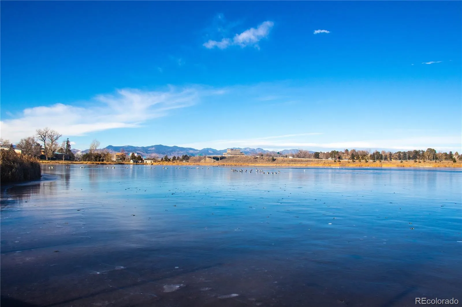 04082026142118 1600 6