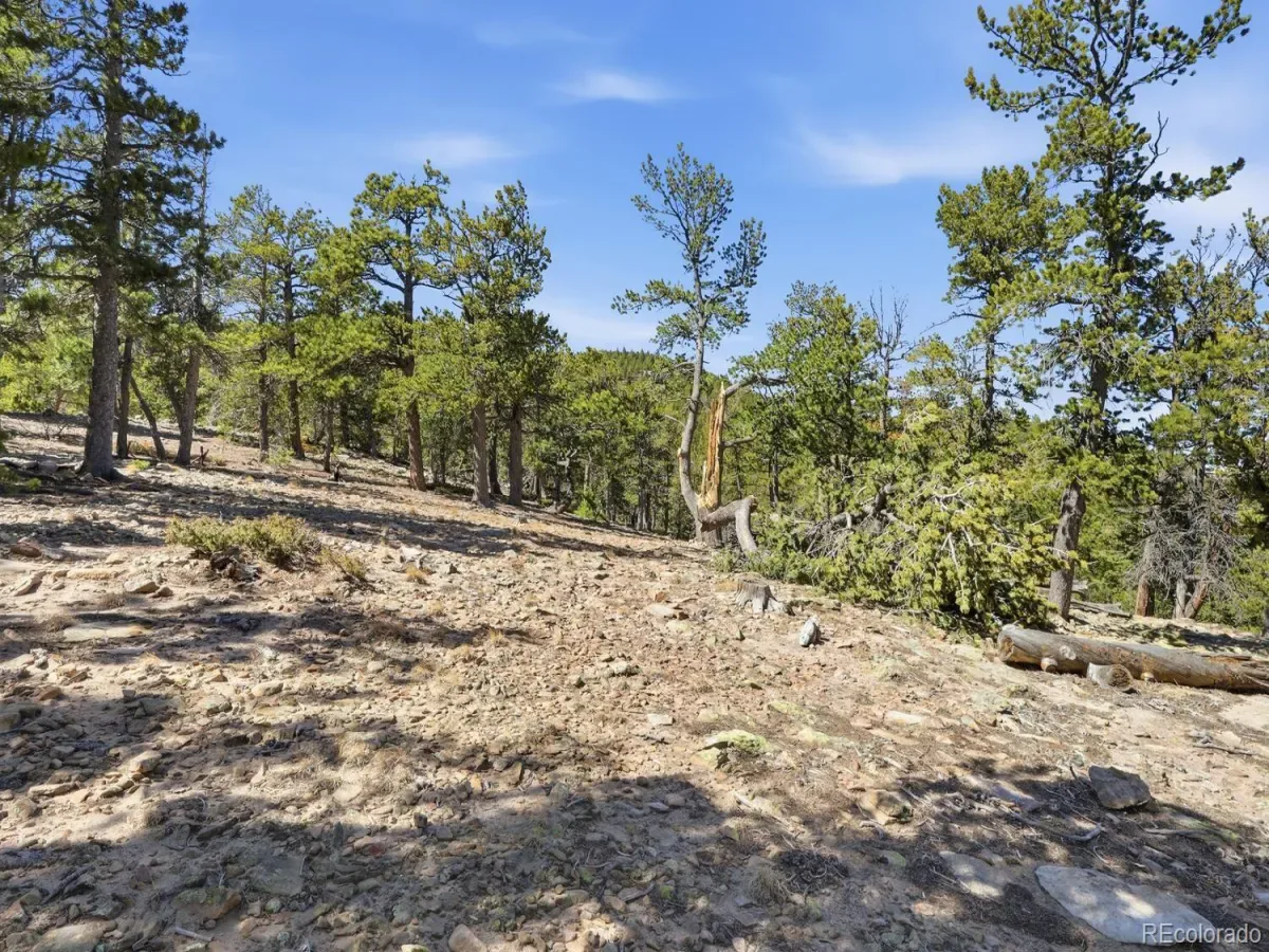 33149 Janelle Circle Golden CO 80403 MLS #REC8814156 03212026001856 1200 16