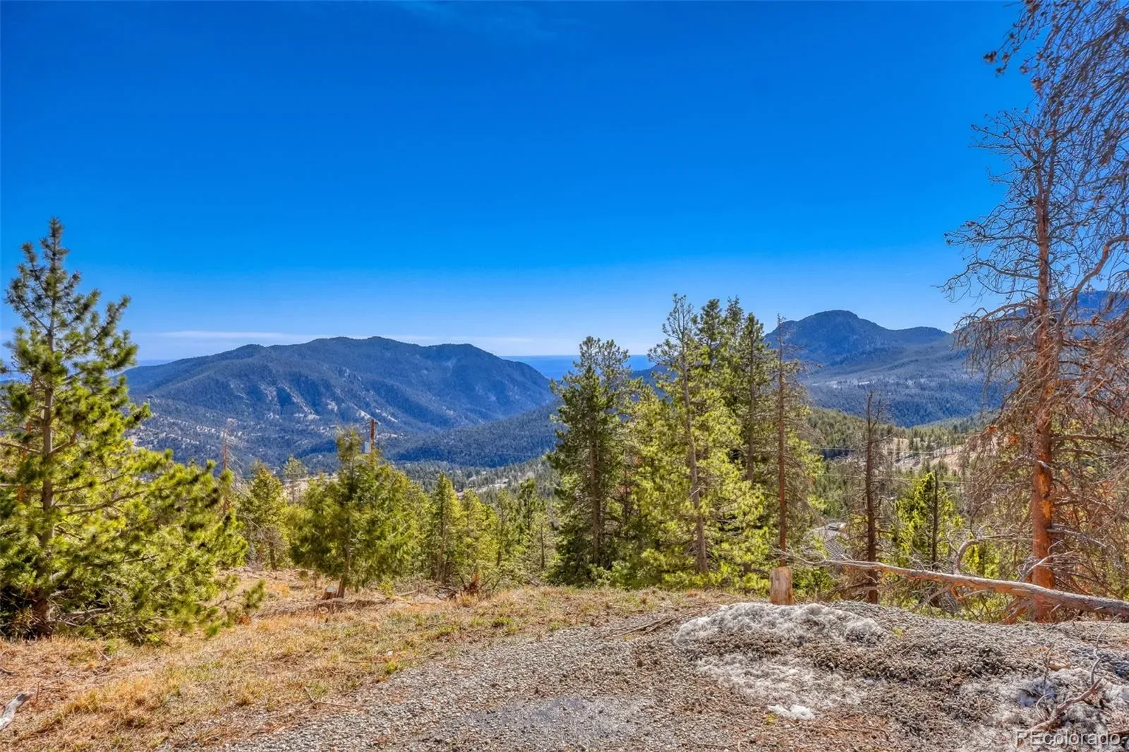 33149 Janelle Circle Golden CO 80403 MLS #REC8814156 03212026001856 1600 0