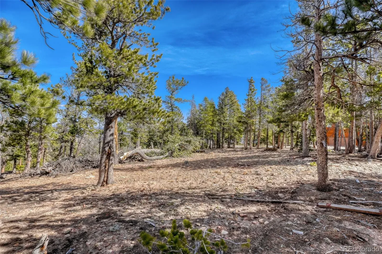33149 Janelle Circle Golden CO 80403 MLS #REC8814156 03212026001856 1600 1