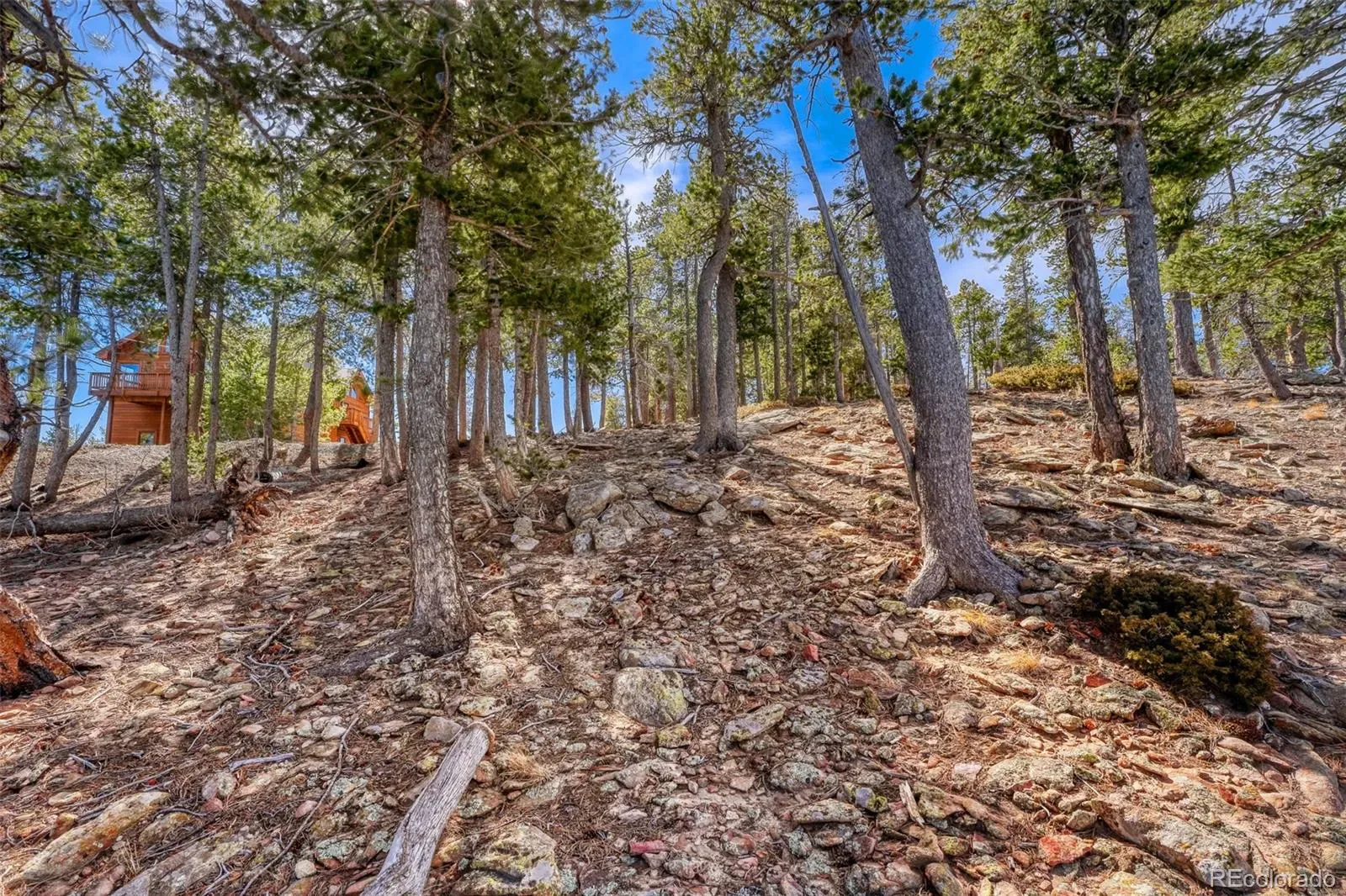 33149 Janelle Circle Golden CO 80403 MLS #REC8814156 03212026001856 1600 10