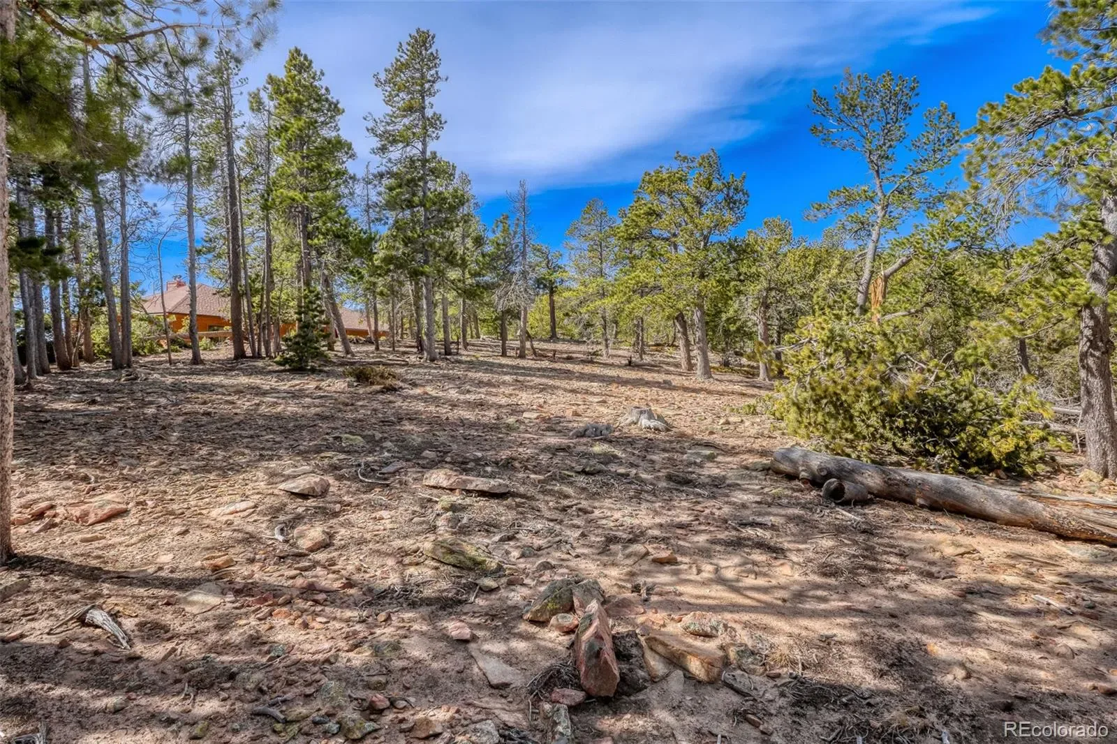 33149 Janelle Circle Golden CO 80403 MLS #REC8814156 03212026001856 1600 4