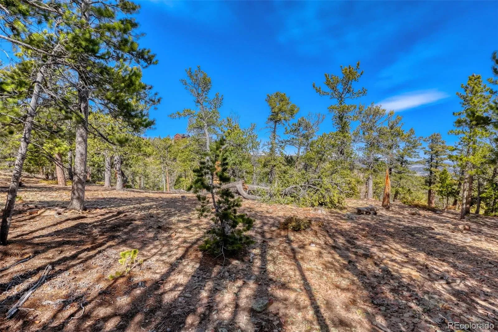 33149 Janelle Circle Golden CO 80403 MLS #REC8814156 03212026001856 1600 6