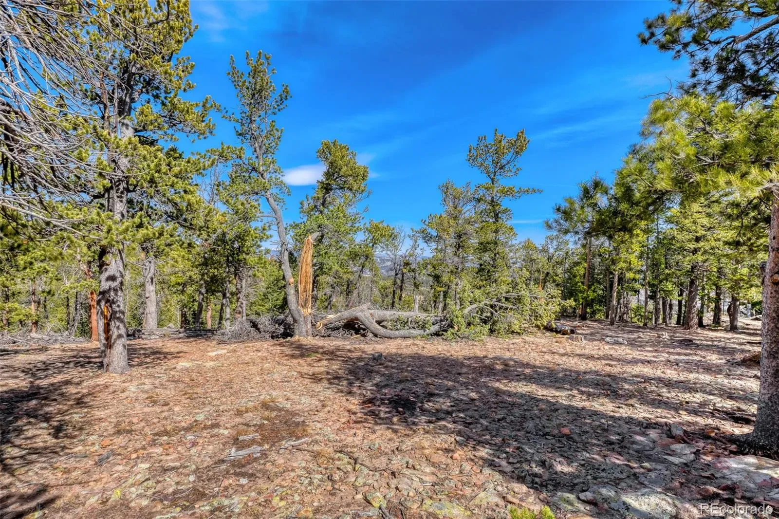33149 Janelle Circle Golden CO 80403 MLS #REC8814156 03212026001856 1600 7