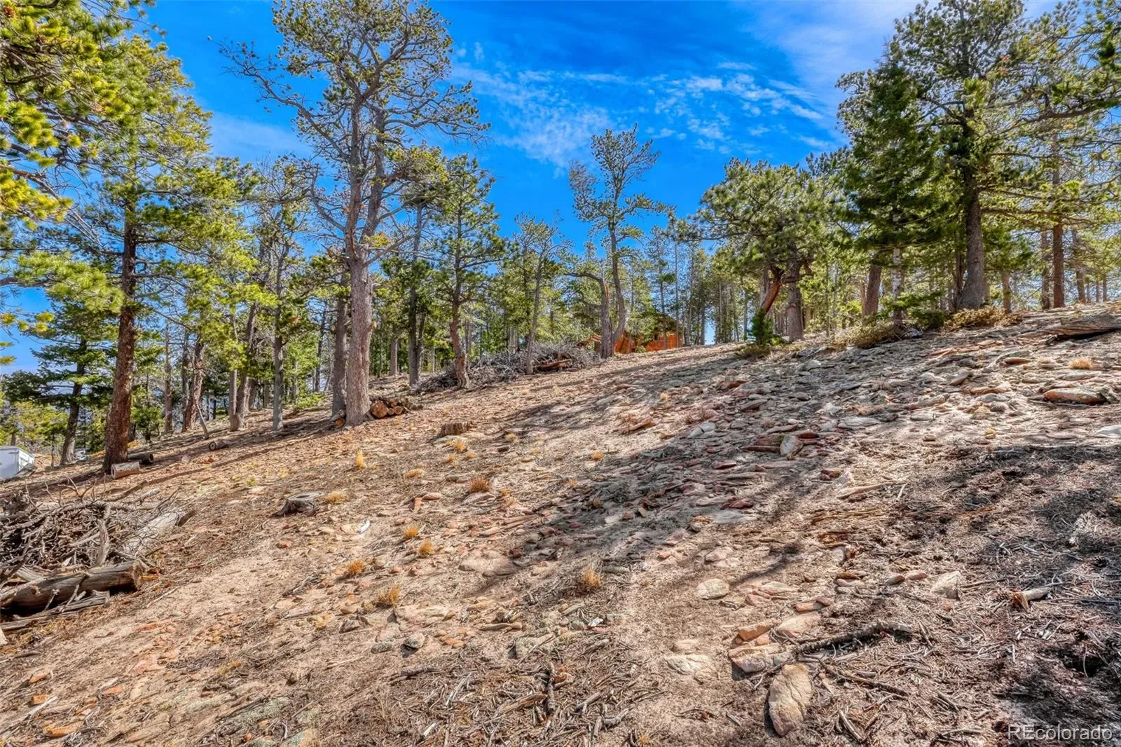 33149 Janelle Circle Golden CO 80403 MLS #REC8814156 03212026001856 1600 8