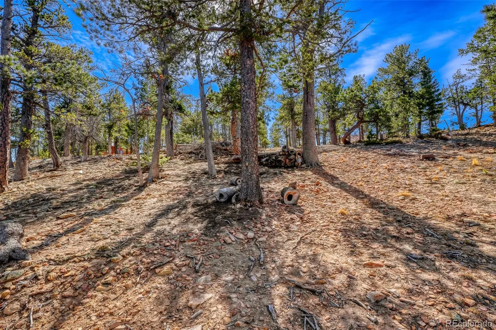 33149 Janelle Circle Golden CO 80403 MLS #REC8814156 03212026001856 1600 9