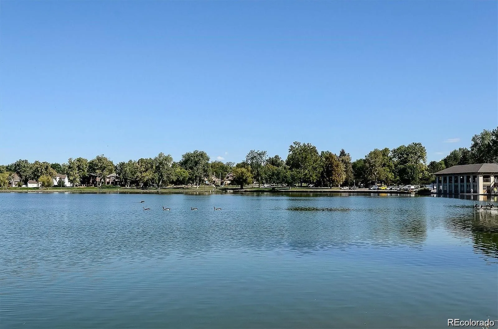 1143 S Corona Street Denver CO 80210 MLS #REC8818916 06162026061808 1600 33