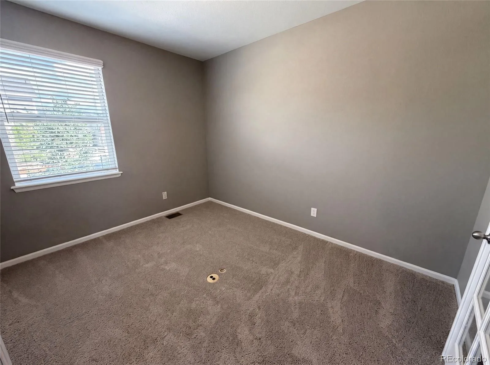 2450 Garganey Drive Castle Rock CO 80104 | MLS #REC8829275 07172026180823 1600 14