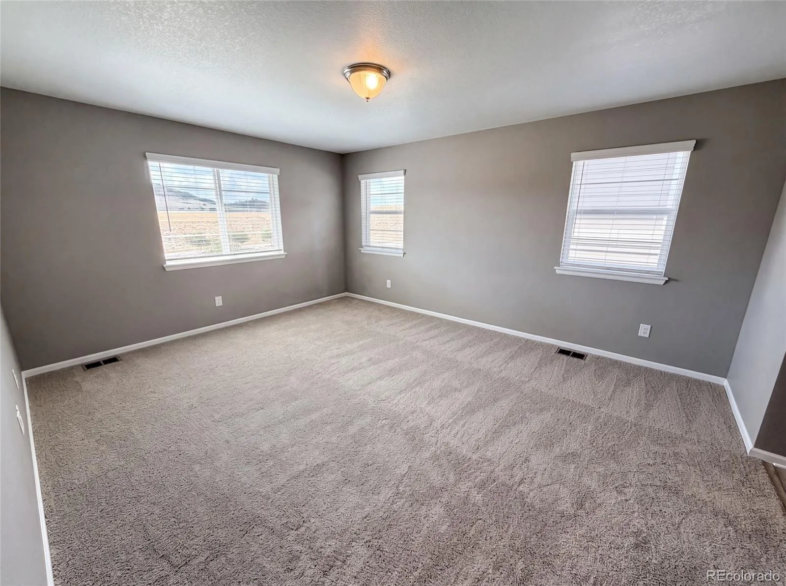 2450 Garganey Drive Castle Rock CO 80104 | MLS #REC8829275 07172026180823 1600 3