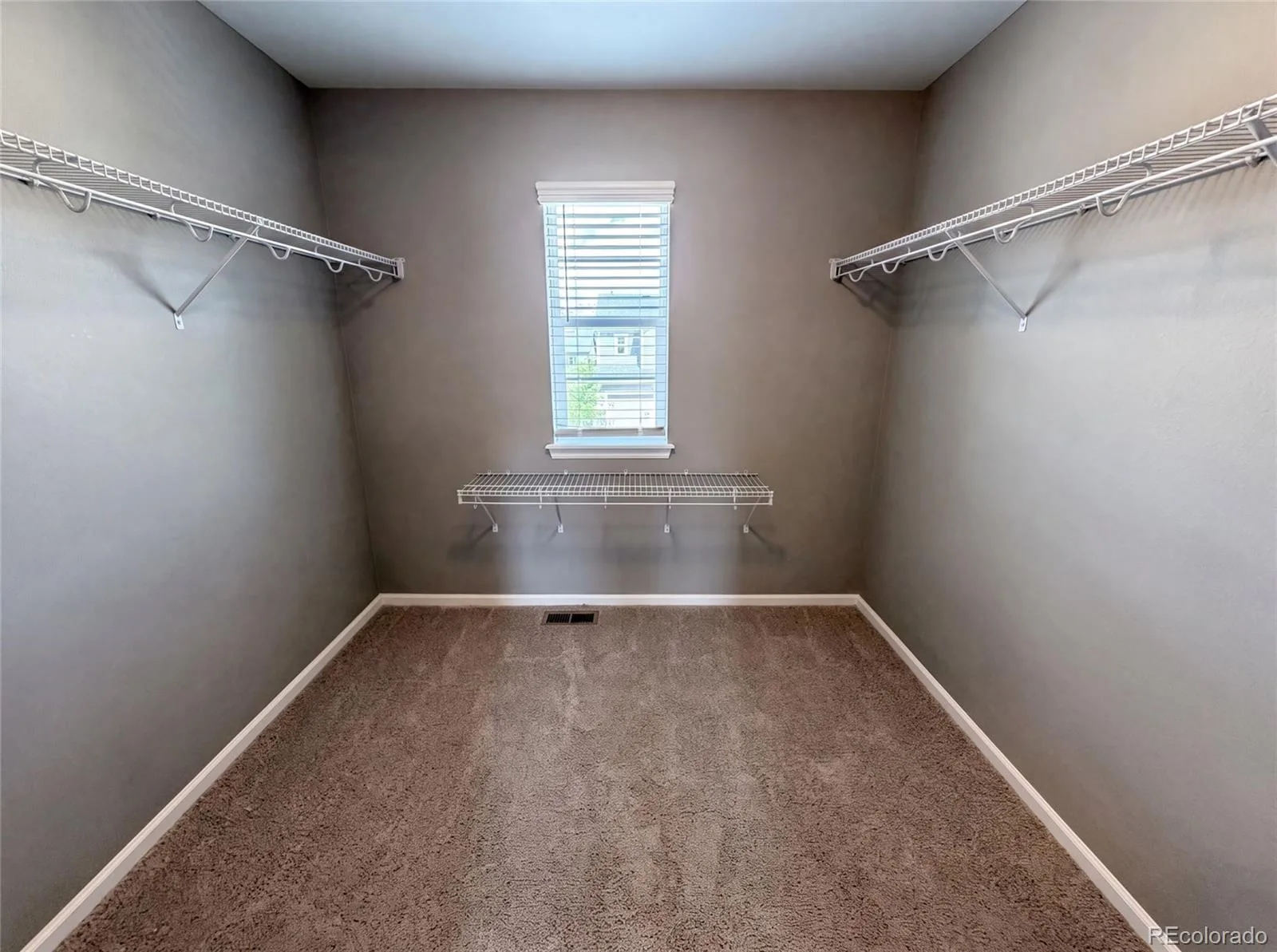 2450 Garganey Drive Castle Rock CO 80104 | MLS #REC8829275 07172026180823 1600 30