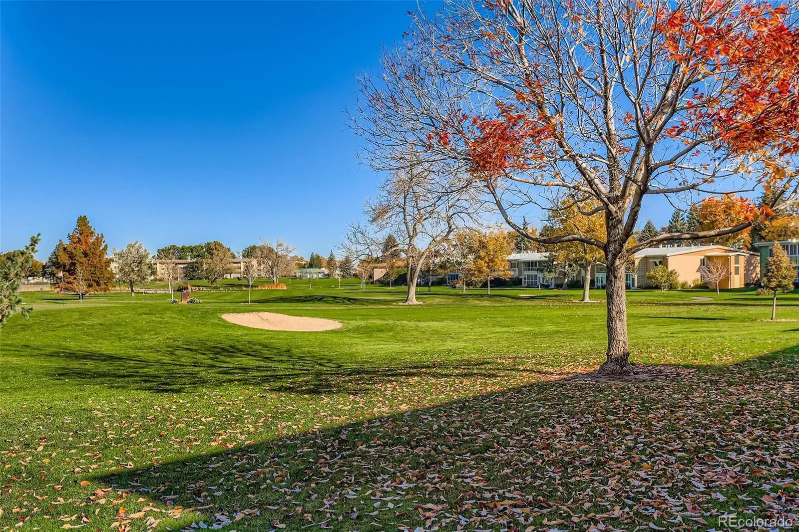 740 S Alton Way #2B Denver CO 80247 MLS #REC8830949 01012026203254 1600 21