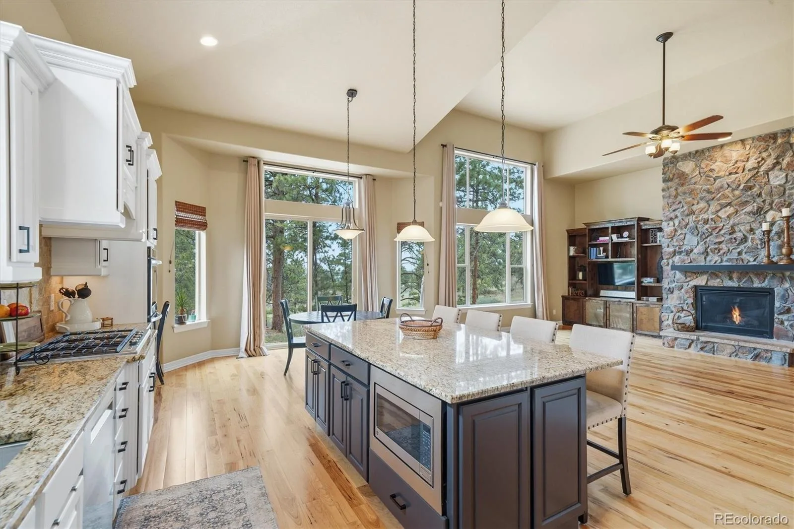 11941 S Longs Bluff Lane Parker CO 80134 | MLS #REC8831987 07152026084548 1600 17