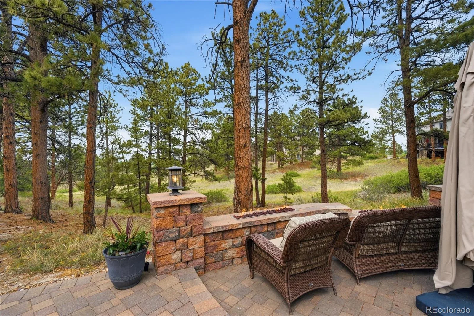 11941 S Longs Bluff Lane Parker CO 80134 | MLS #REC8831987 07152026084548 1600 40