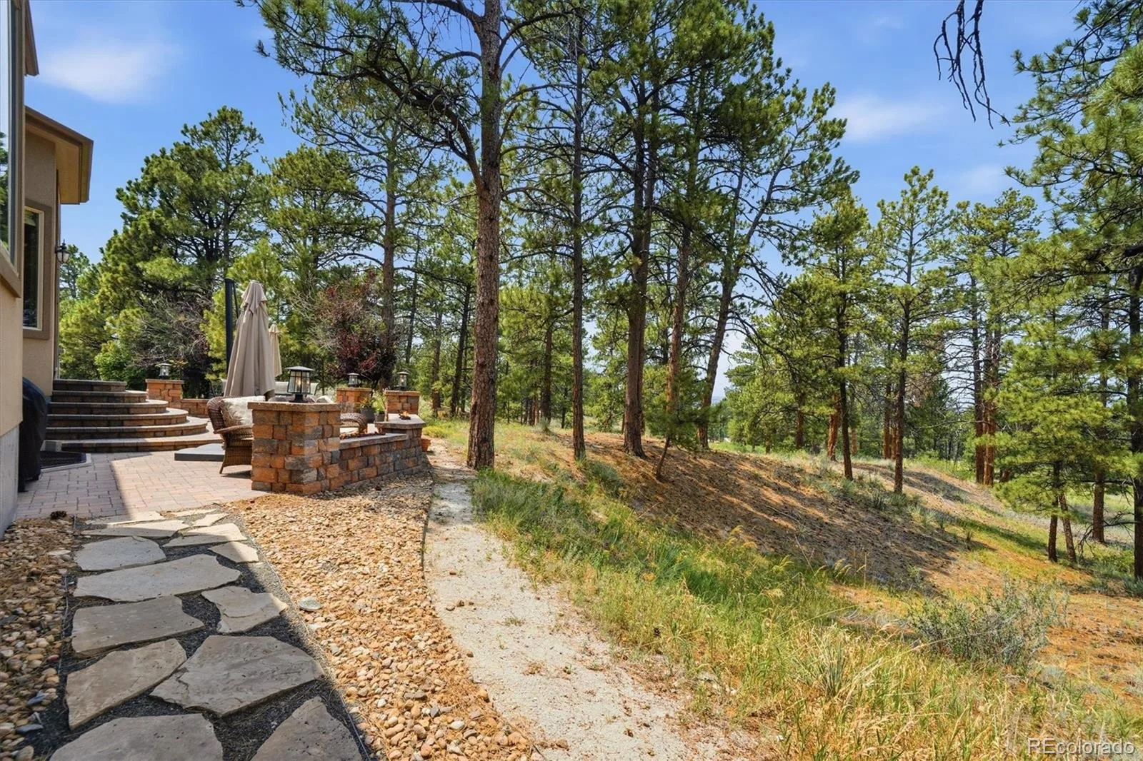 11941 S Longs Bluff Lane Parker CO 80134 | MLS #REC8831987 07152026084548 1600 42