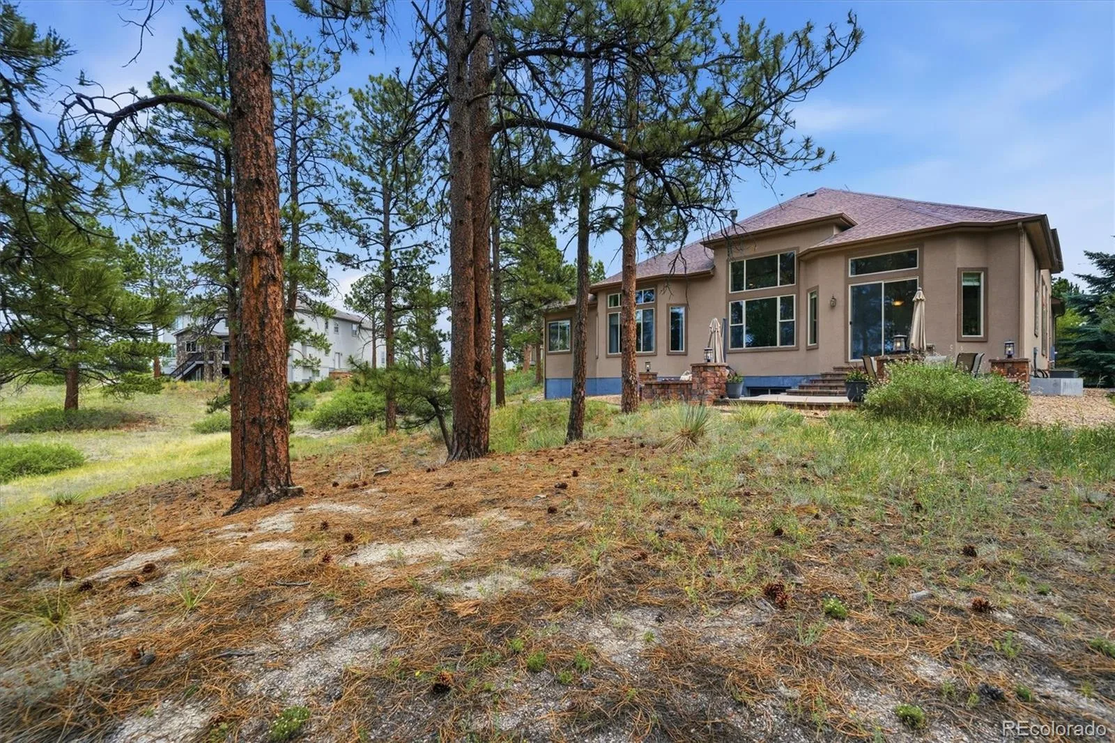 11941 S Longs Bluff Lane Parker CO 80134 | MLS #REC8831987 07152026084548 1600 43