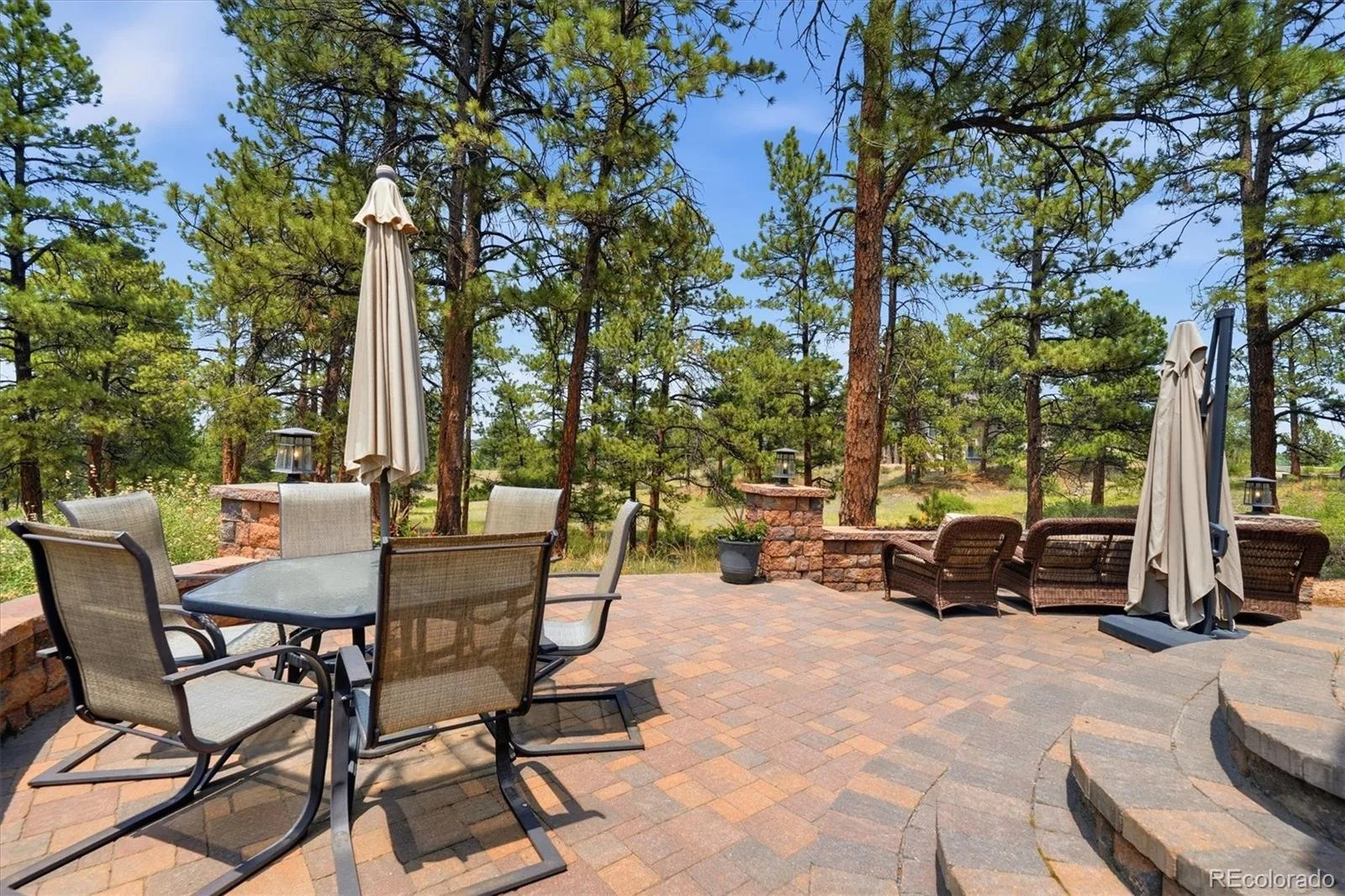 11941 S Longs Bluff Lane Parker CO 80134 | MLS #REC8831987 07152026084548 1600 45