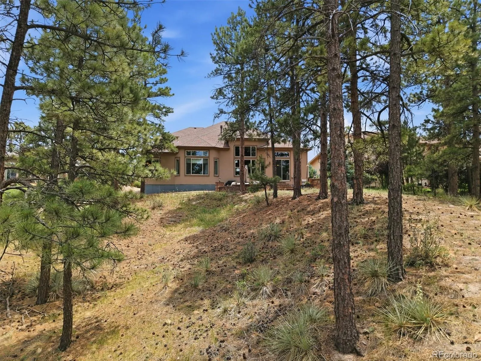 11941 S Longs Bluff Lane Parker CO 80134 | MLS #REC8831987 07152026084548 1600 47