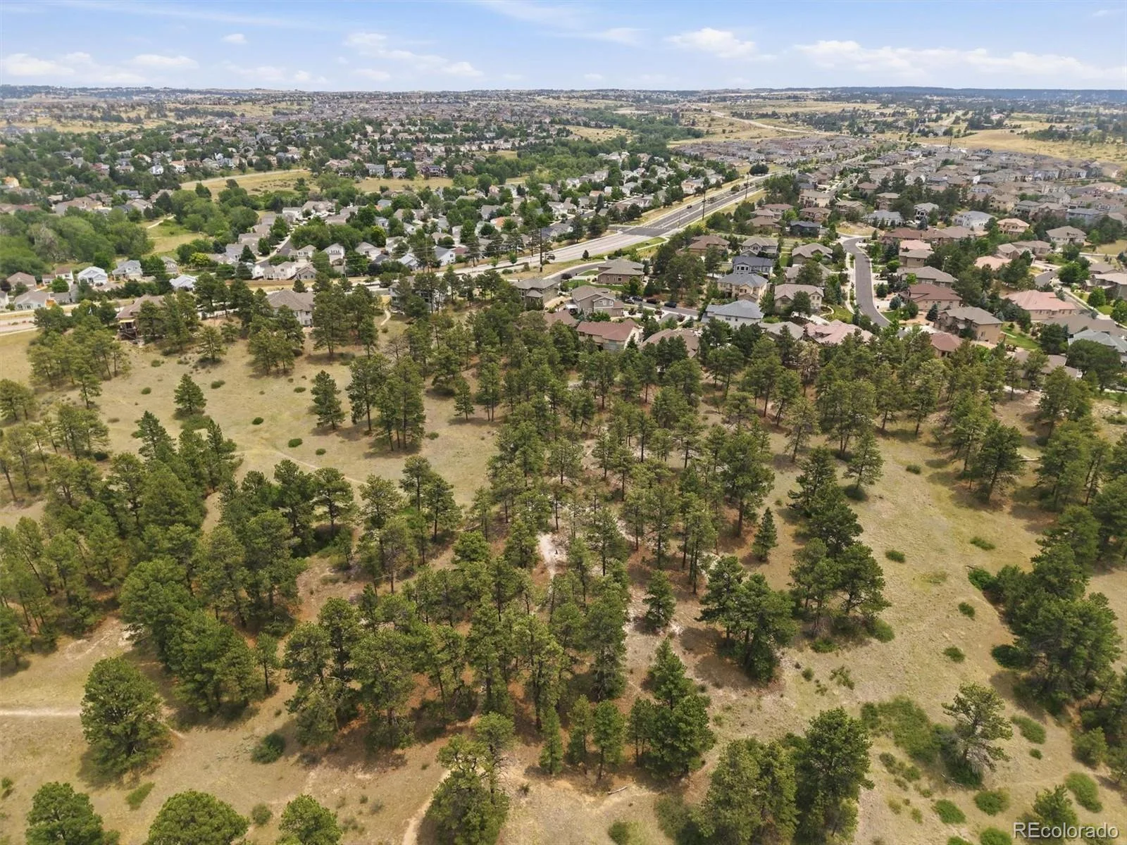 11941 S Longs Bluff Lane Parker CO 80134 | MLS #REC8831987 07152026084548 1600 48