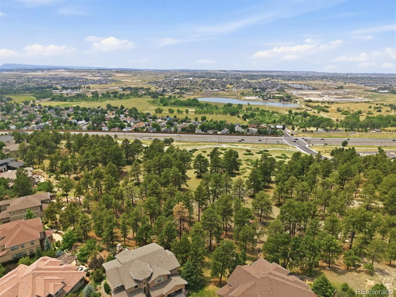 11941 S Longs Bluff Lane Parker CO 80134 | MLS #REC8831987 07152026084548 1600 49