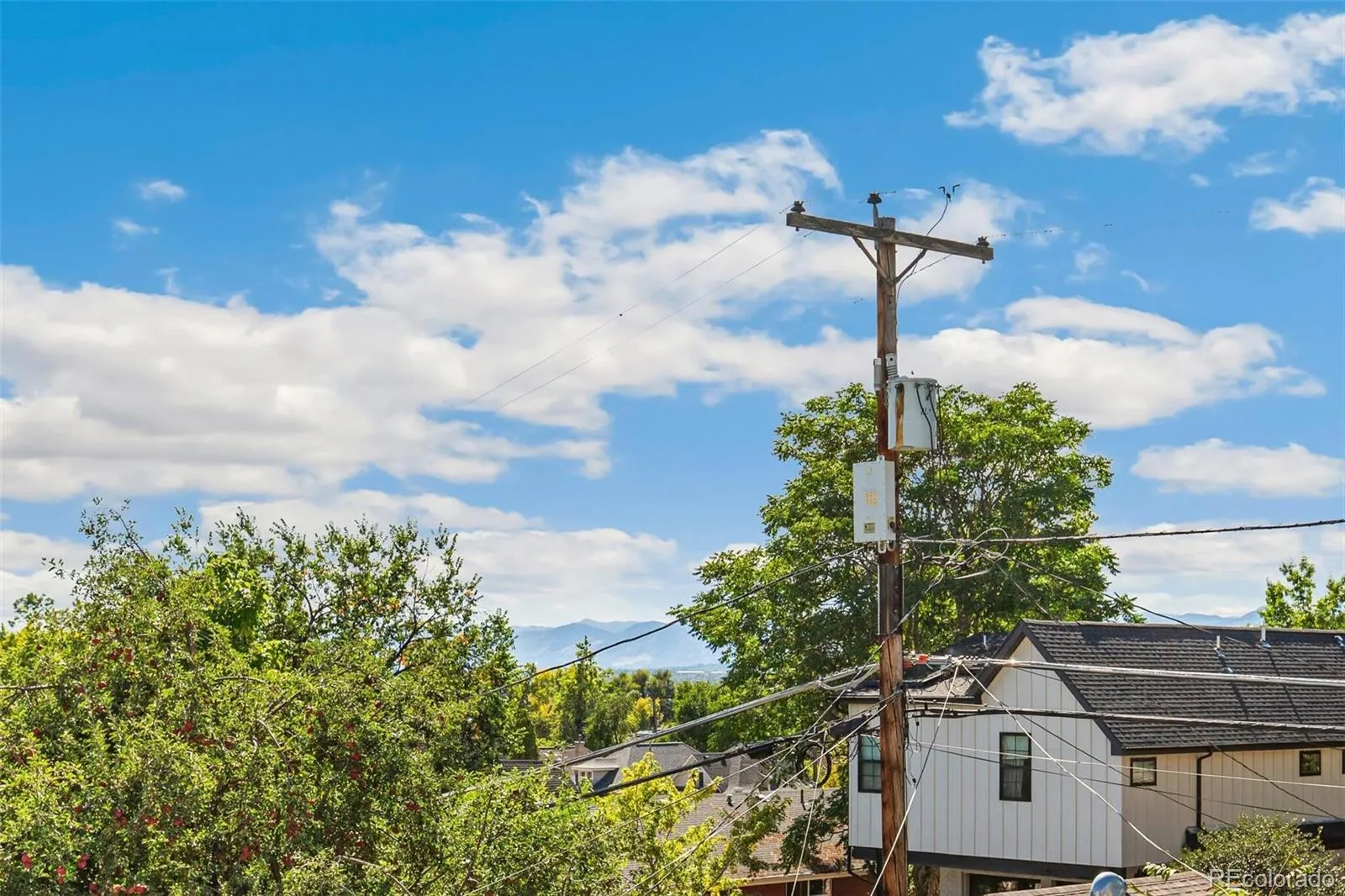 3924 W 30th Avenue Denver CO 80212 MLS #REC8837781 05052026192908 1600 25