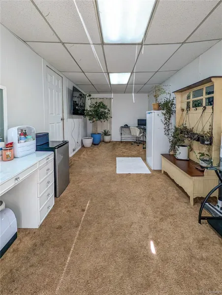 03282026010721 800 9