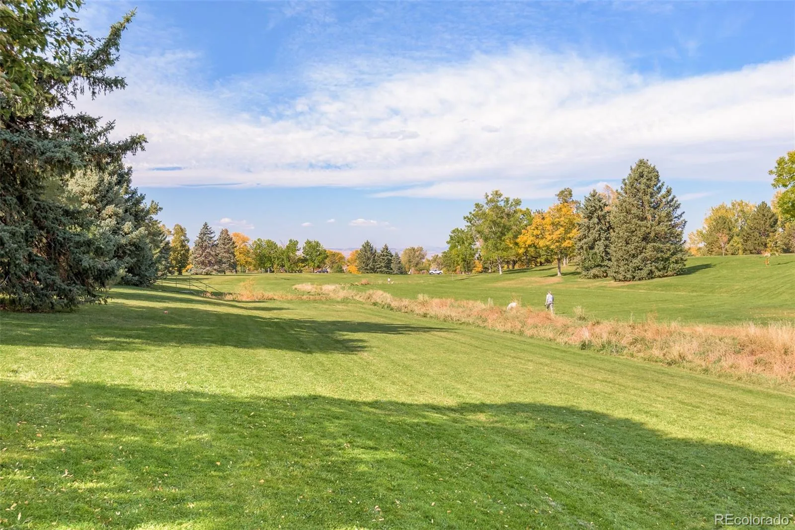2349 S High Street Denver CO 80210 | MLS #REC8841575 07302026224826 1600 38