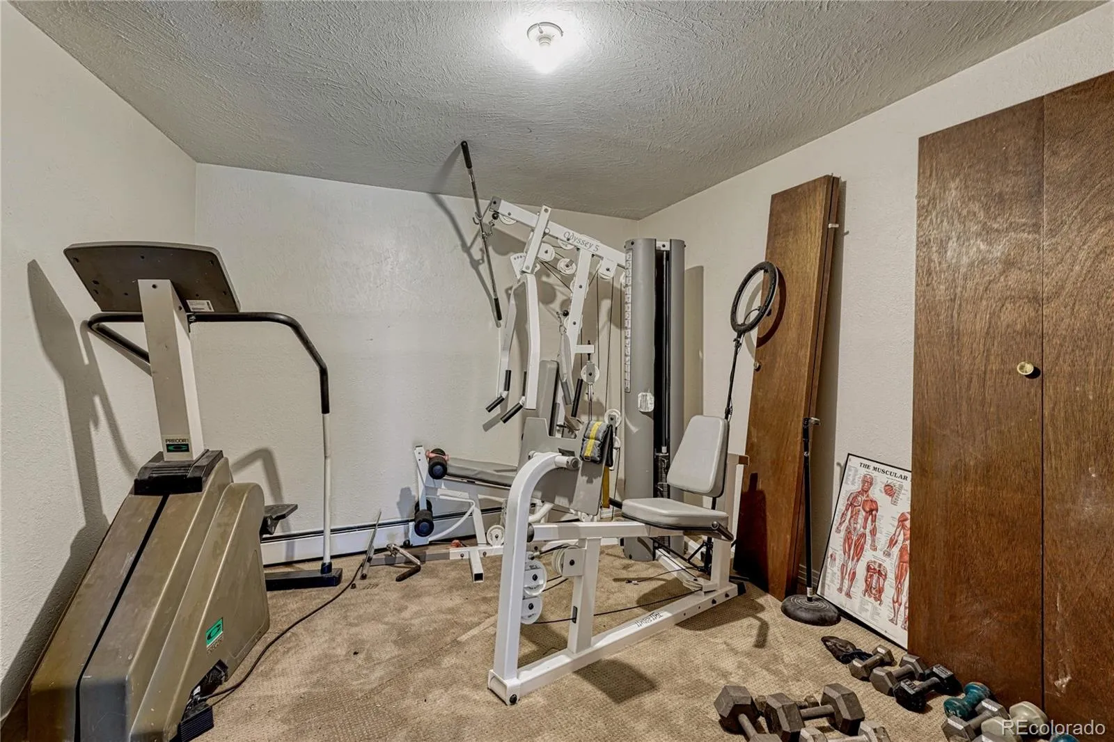 6541 Alpine. Drive Parker CO 80134 MLS #REC8842567 05232026100258 1600 22