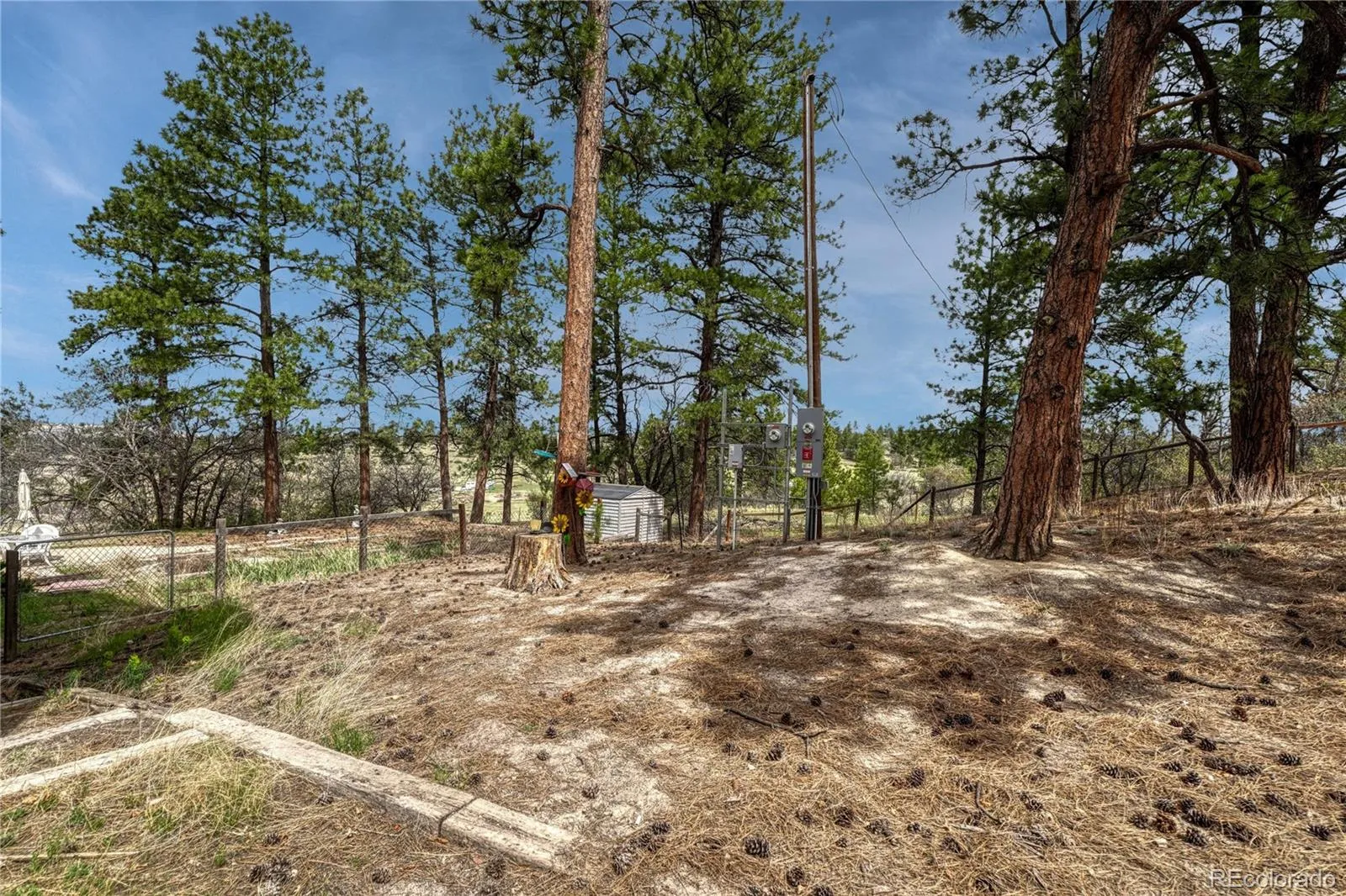 6541 Alpine. Drive Parker CO 80134 MLS #REC8842567 05232026100258 1600 32
